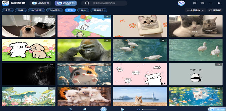 Wowji Live Wallpaper