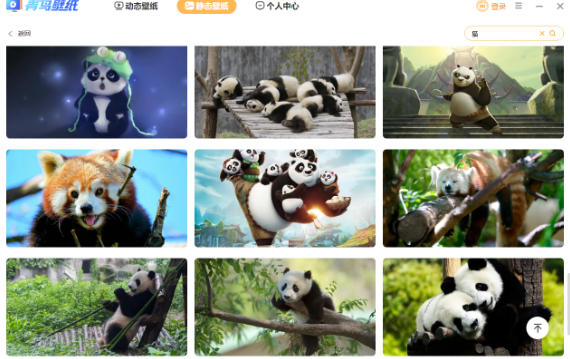  Blue bird wallpaper, blue bird wallpaper download