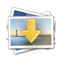 fatkun picture batch download plug-in