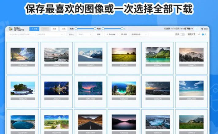 Screenshot of fatkun image batch download plug-in