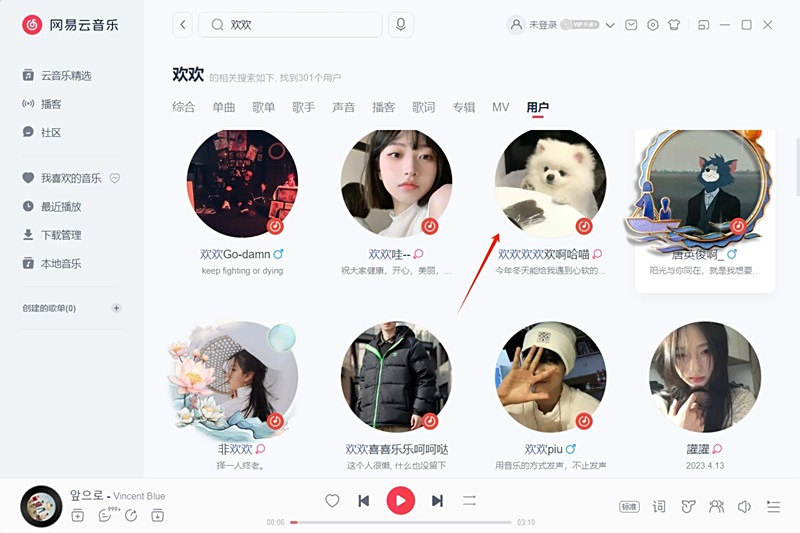 Screenshot of NetEase Cloud Music