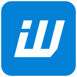 Wangdiantong flagship version ERP