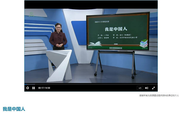 Screenshot of the National Smart Education Platform for Primary and Secondary Schools