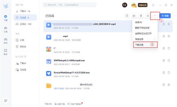 Screenshot of Thunder Cloud Disk