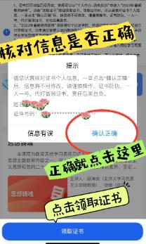 Screenshots of smart primary and secondary schools