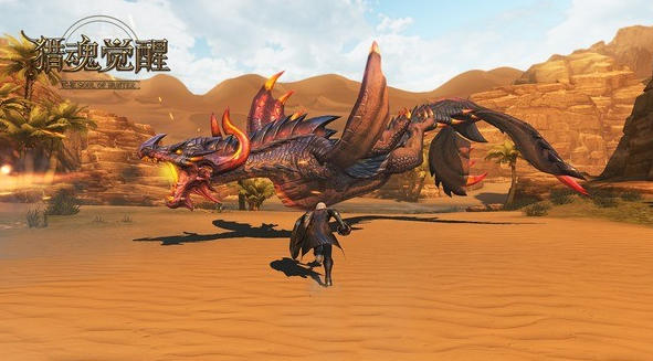 Hunting Soul Awakening