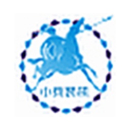 Zhizhi one-click installation system