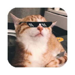 Automated testing tools