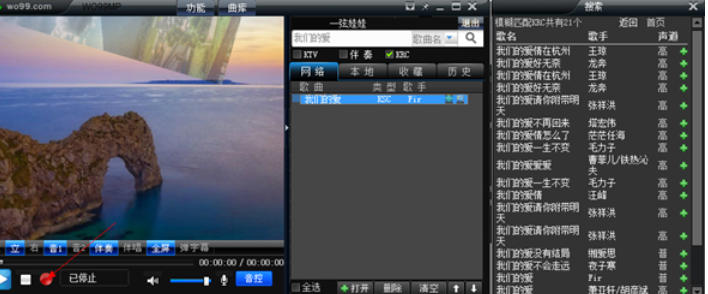 Screenshot of wo99 accompaniment box