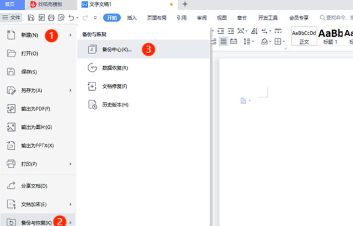 Screenshot of WPS Office Campus Edition