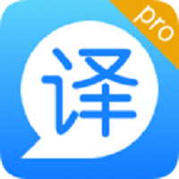 Translator pro computer version