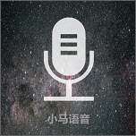 Voice Translator PC version