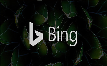 Bing Wallpaper