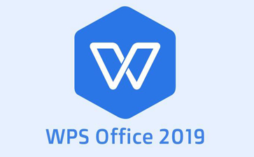 wps professional version