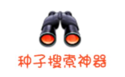 Magnetic download software