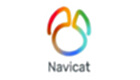 Navicat Premium software topic