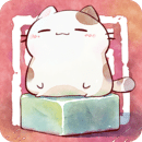 Museum of Curiosities