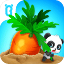 Babies love fruits and vegetables