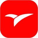 Eagle watching the world