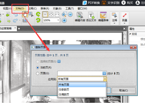 How to delete one of the pages 389.png in pdf