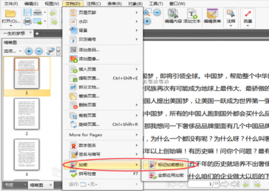 How does the PDF editor encrypt part of the text in the PDF file227.png