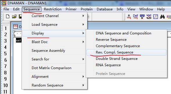 How to use DNAMAN software to obtain the reverse complementary DNA sequence