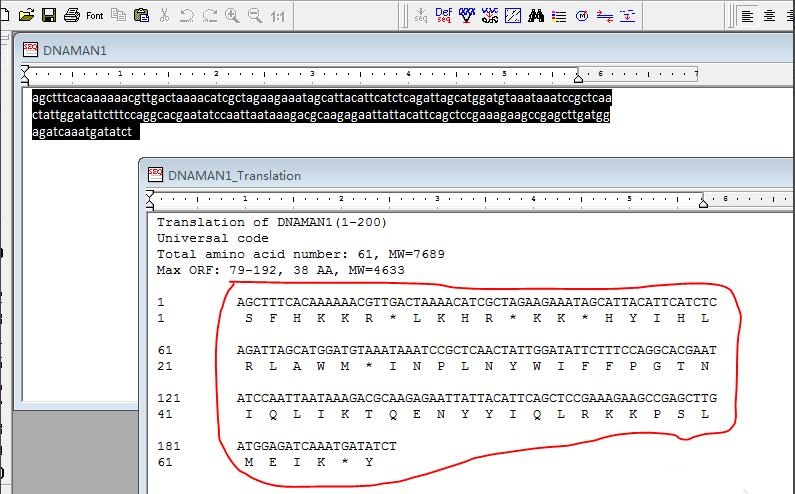 How to use DNAMAN software to translate base sequences into amino acid sequences