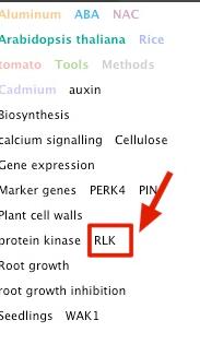 How to add colored labels in zotero literature management?