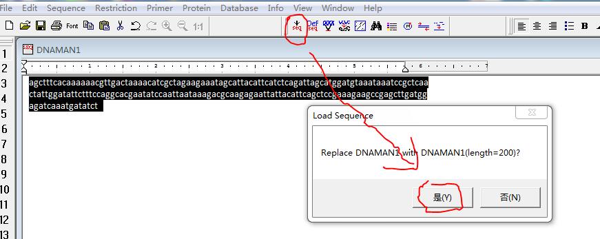 How to use DNAMAN software to translate base sequences into amino acid sequences