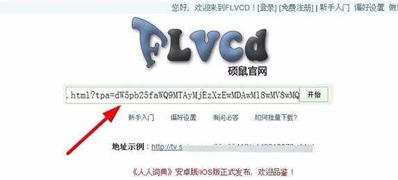 Screenshots of Shuo Mouse FLV video downloader