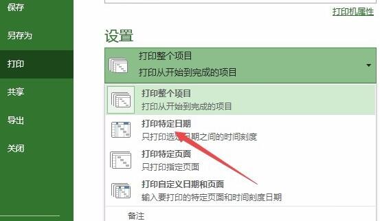 How to print a specific date in Project