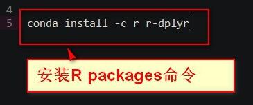 How to install r language with anaconda