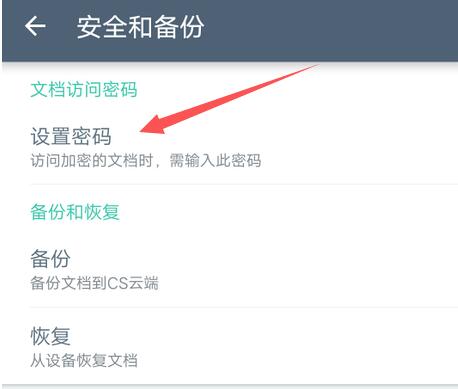 How to set a password for Scanner Almighty?