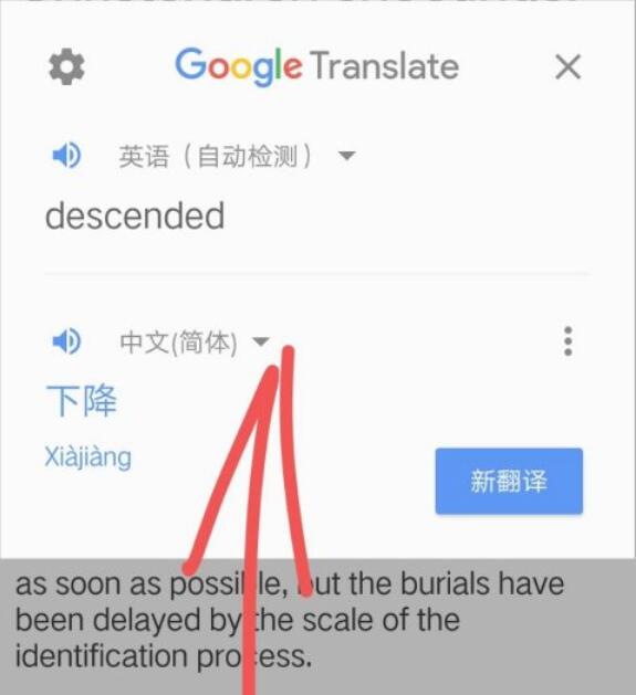 How to search words across software in Google Translate