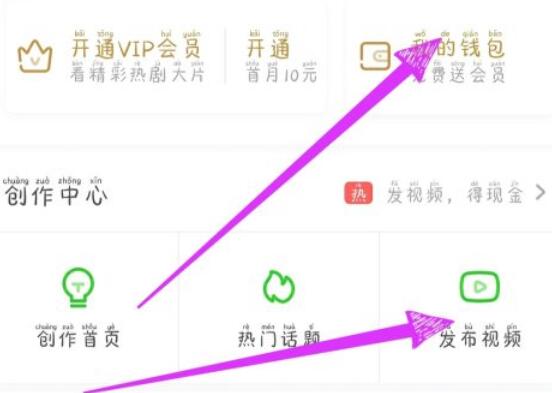 How does iQiyi Edition make money?