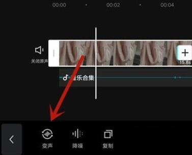 How to change the voice in a video clip