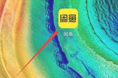 How to check the rules of Xianyu app?