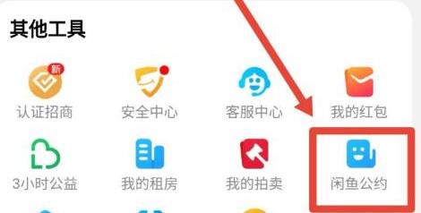 How to check the rules of Xianyu app?