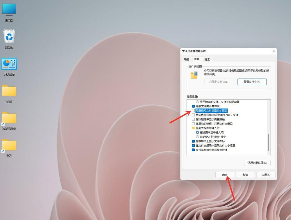 How to display the file extension in Win11