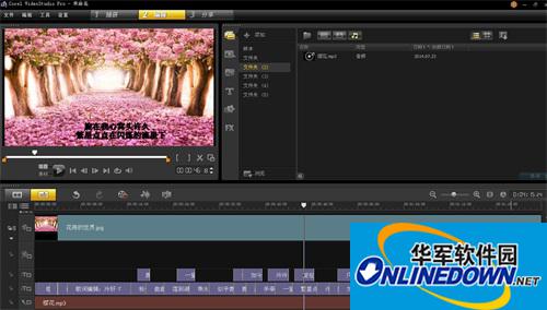 How to add lyrics and subtitles special effects to VideoStudio x8? How to add lyrics and subtitles special effects to VideoStudio x8?