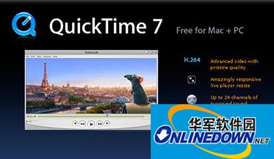 Quicktime player conversion format