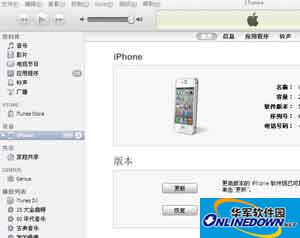 Enter your phone's summary