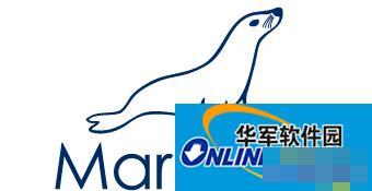 How to check the MariaDB server version on Linux system