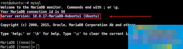 How to check the MariaDB server version on Linux system