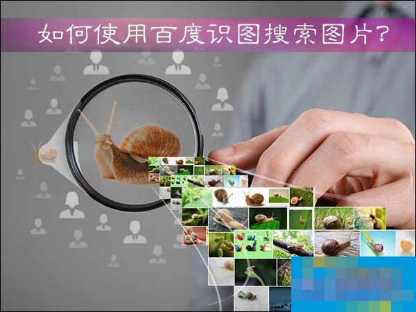 How to use Baidu Image Reader to search for pictures? How to use Baidu image recognition?