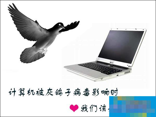 How to clean up the Gray Pigeon virus in Win7 environment? What are the dangers of gray pigeon virus?