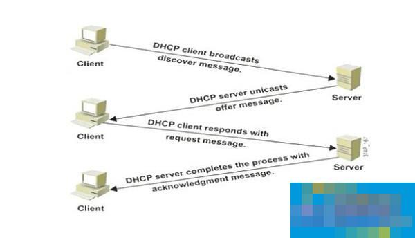 What does DHCP mean?