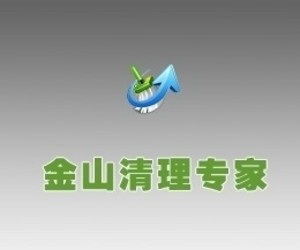 Jinshan Cleanup Expert