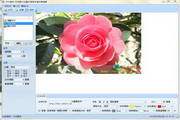 Dafu rich online store picture batch processing master