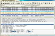 Wireshark Development (32-bit)